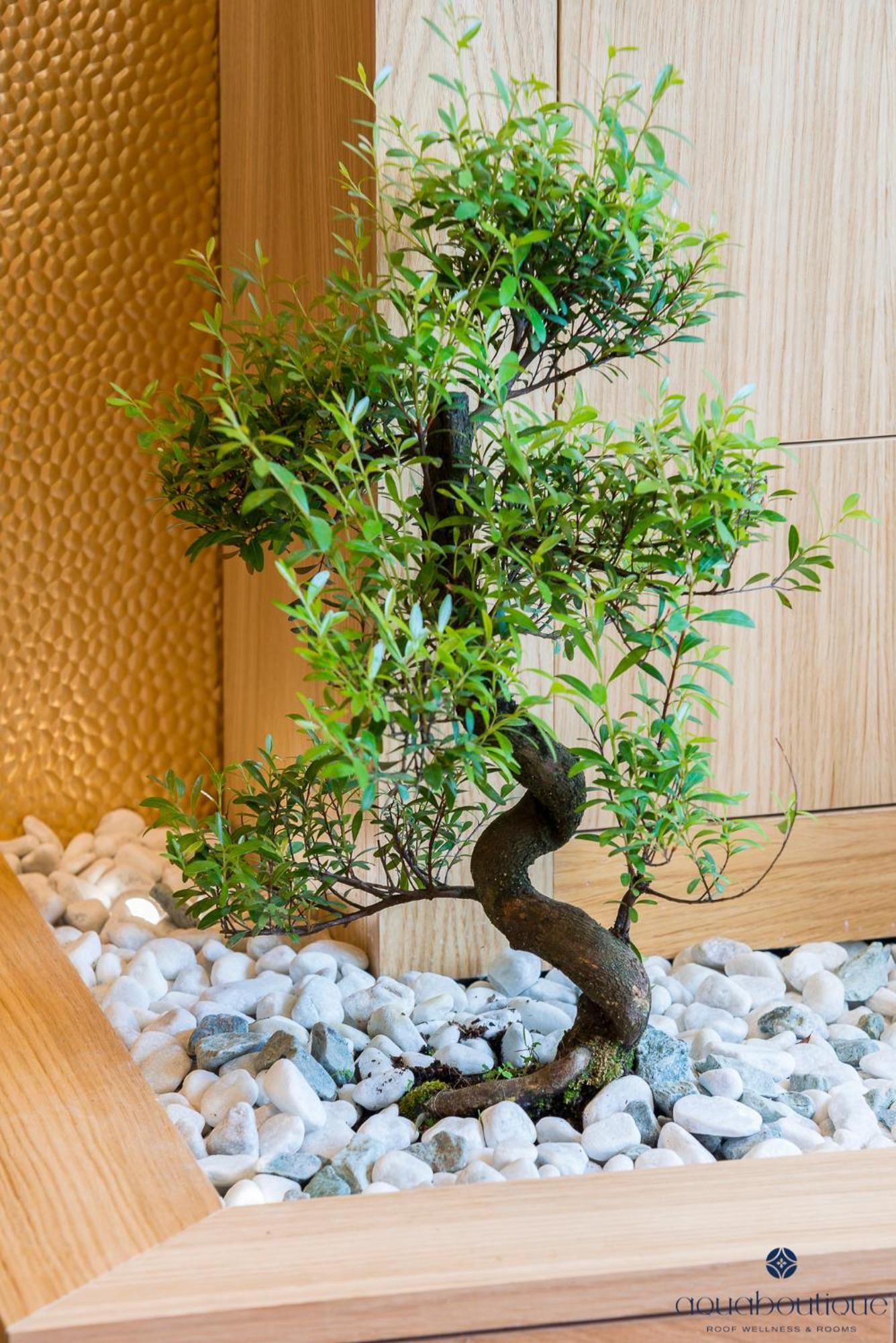 Aquaboutique Wellness&Spa В'єтрі Екстер'єр фото